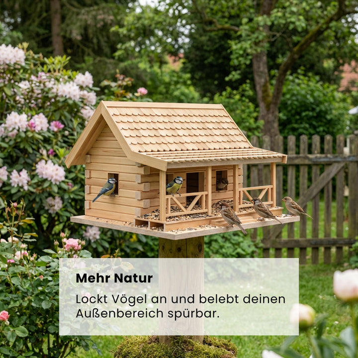Vogelhaus (Bauanleitung)